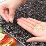 Когда сажать перец на рассаду в 2018 году?