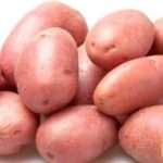 Особенности сорта картофеля «Рокко». Описание, фото