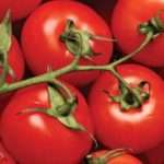 Помидоры для открытого грунта в Ростовской области