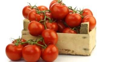 Мы подобрали для вас самые лучшие детерминантные сорта томатов для открытого грунта.