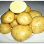 Сорт картофеля Сантэ: характеристика, отзывы