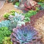 Обустройство клумб на дачном участке. Лучшие идеи с фото