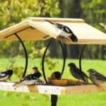 Как сделать кормушку для птиц самостоятельно из подручных средств