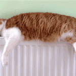 Как выбрать отопительные приборы