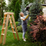 Критерии выбора секатора: на что обратить внимание