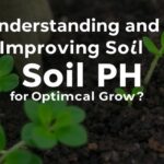 Why your soil's pH quietly controls the health of every plant