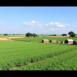 Agrarsubventionen (GAP) – Antragstellung und Konditionen praxisnah erklärt