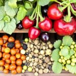 Semences au jardin : comment s’y retrouver entre variétés anciennes, hybrides et bio