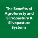 Why trees and animals belong together: a fresh look at integrated land systems