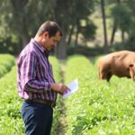 Networking with other farmers: the power of knowledge sharing