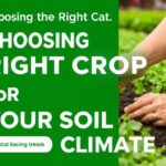 Choosing the right crop for your soil and climate: a practical guide