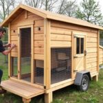 Mover las gallinas con cabeza: guía práctica para instalación y manejo de un gallinero móvil