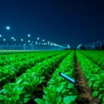 Cómo la tecnología transforma el campo: apps y herramientas digitales que realmente funcionan