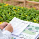 Diseñar un plan de negocios rentable para tu granja