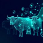 Digitales Herdenmanagement – Daten für bessere Entscheidungen