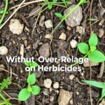 Effective weed control without over-reliance on herbicides