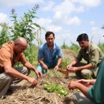 Travailler ensemble : comment mutualiser équipements, savoirs et marchés entre agriculteurs