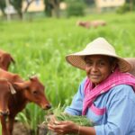 Cómo acceder a créditos y subsidios agrícolas sin perder tiempo