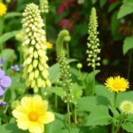 Cultivos que se ayudan entre sí: cómo diseñar una huerta más sana y productiva